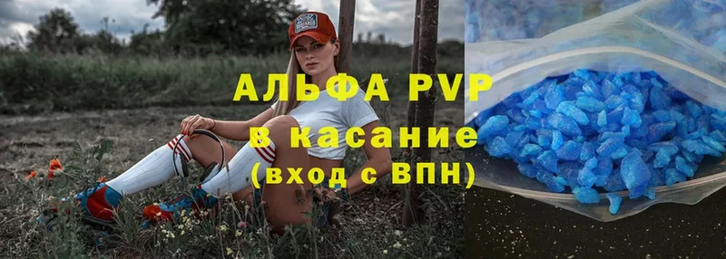 A PVP СК КРИС  Калач 